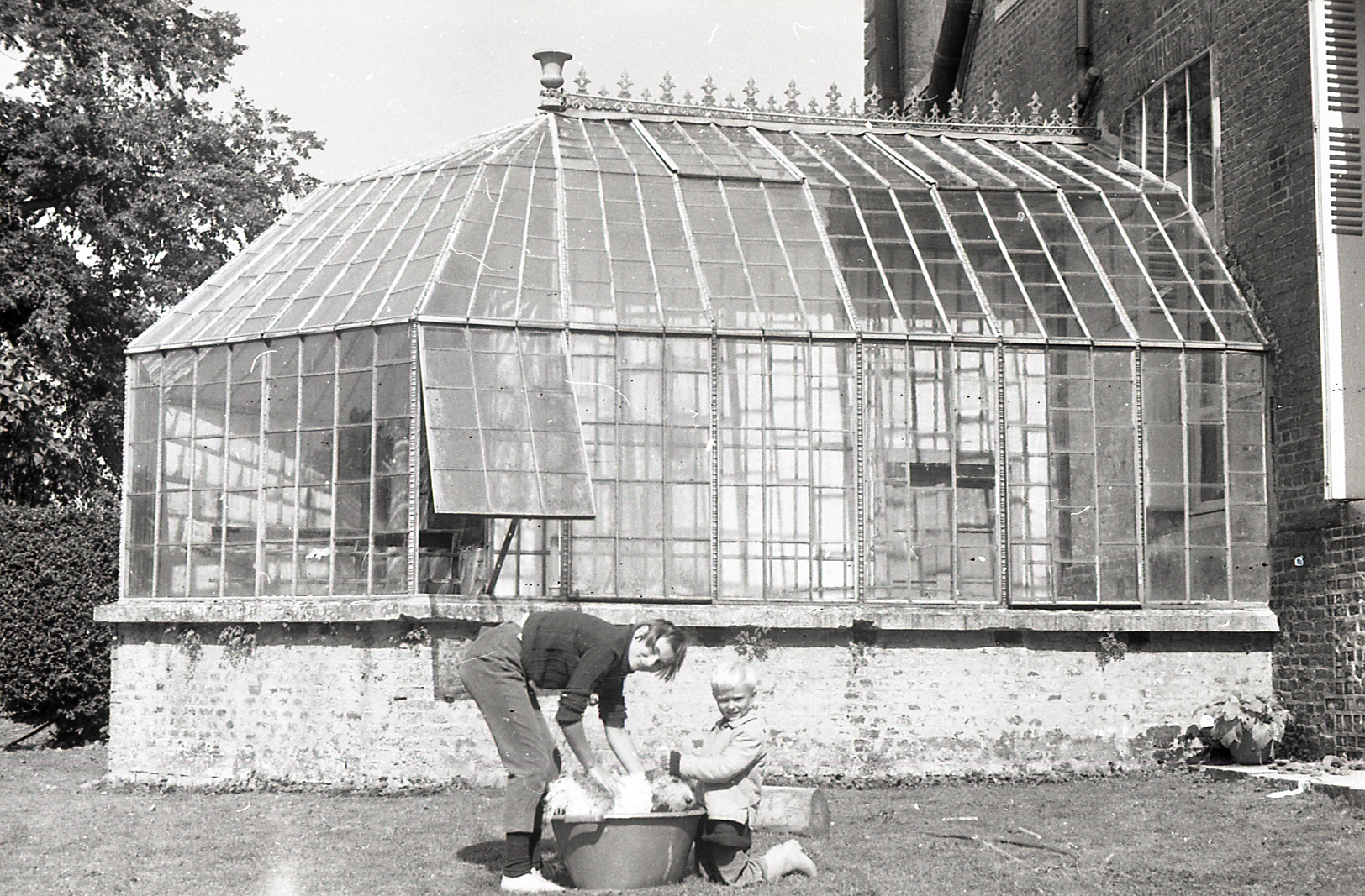 The castle greenhouse & the 2025 heritage lottery