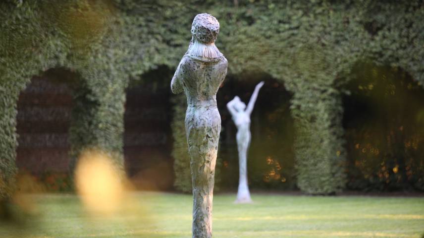 JOURNEES MONDIALES DE L'ART TOPIAIRE (WTD)