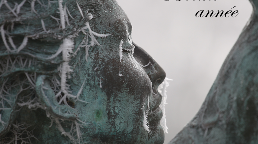 NOS VOEUX POUR LA NOUVELLE ANNEE 